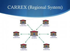 Slide11