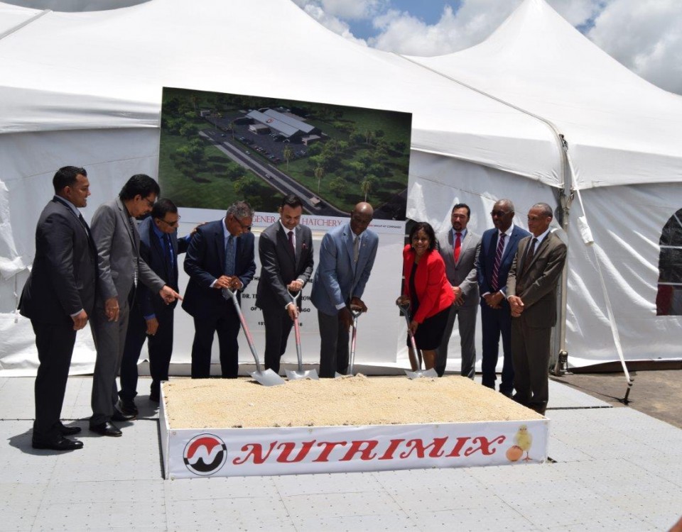 Sod-Turning